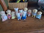 Sylvanians, Ophalen of Verzenden, Zo goed als nieuw