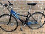 Lichte sportieve fiets, ideaal voor studenten, Gebruikt, 10 tot 15 versnellingen, 47 tot 50 cm, Overige maten