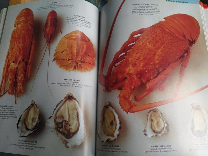 boek: ingrediënten/Loukie Werle en Jill Cox, Boeken, Gezondheid, Dieet en Voeding, Zo goed als nieuw, Overige typen, Ophalen of Verzenden