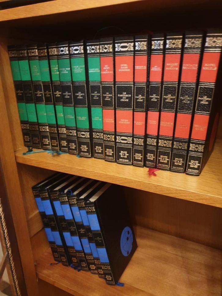 Livres : « Le panthéon du crime en 24 volumes », Boeken, Romans, Zo goed als nieuw, Ophalen