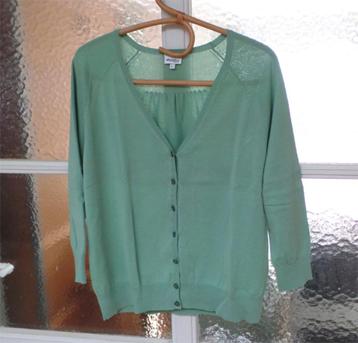 Pull Mayerline vert clair taille L, Taille 42/44 (L), Mayerline, Enlèvement ou Envoi, Comme neuf