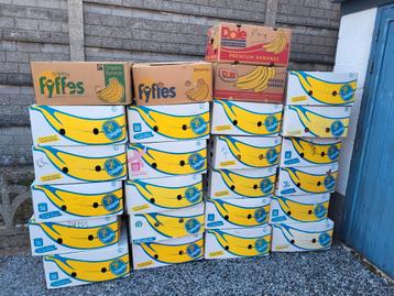 50 stuks bananendozen beschikbaar voor biedingen