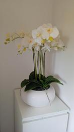 Orchidee, Huis en Inrichting, Woonaccessoires | Kunstplanten en Kunstbloemen, Nieuw, Ophalen of Verzenden