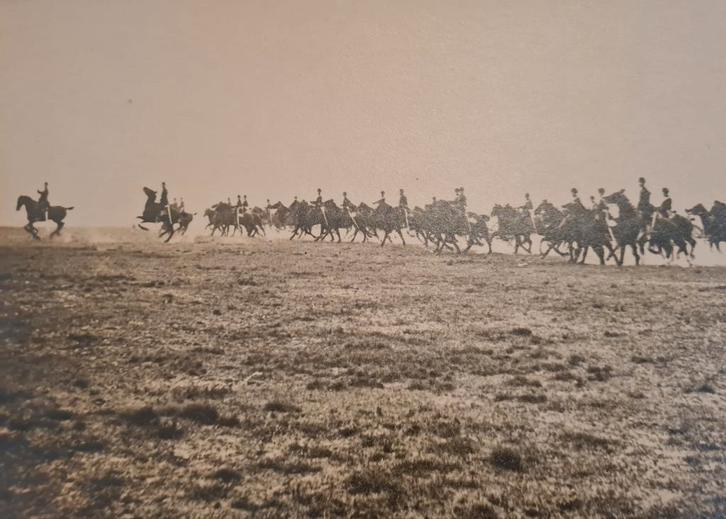 Grote historische foto gesigneerd door Belgian Army Cavalier, Verzamelen, Militaria | Algemeen, Ophalen of Verzenden