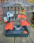 Grote hamster kooi, Animaux & Accessoires, Rongeurs & Lapins | Cages & Clapiers, Comme neuf, Cage, Enlèvement ou Envoi, Hamster