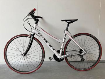 Zannata Z21 lady sport kader 48 beschikbaar voor biedingen