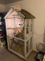 Kooi met agapornissen, Dieren en Toebehoren, Vogels | Parkieten en Papegaaien, Meerdere dieren, Dwergpapegaai of Agapornis