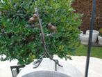statue d oiseau ( 2 ) en bronze sur branche en hauteur ., Jardin & Terrasse, Animal, Autres matériaux, Enlèvement ou Envoi, Neuf