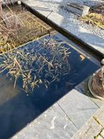 Vijverfilter inox en vijverpomp, Tuin en Terras, Ophalen, Gebruikt, Vijverfilter