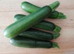 Courgettes vertes du jardin, Ophalen