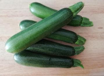 Courgettes vertes du jardin beschikbaar voor biedingen