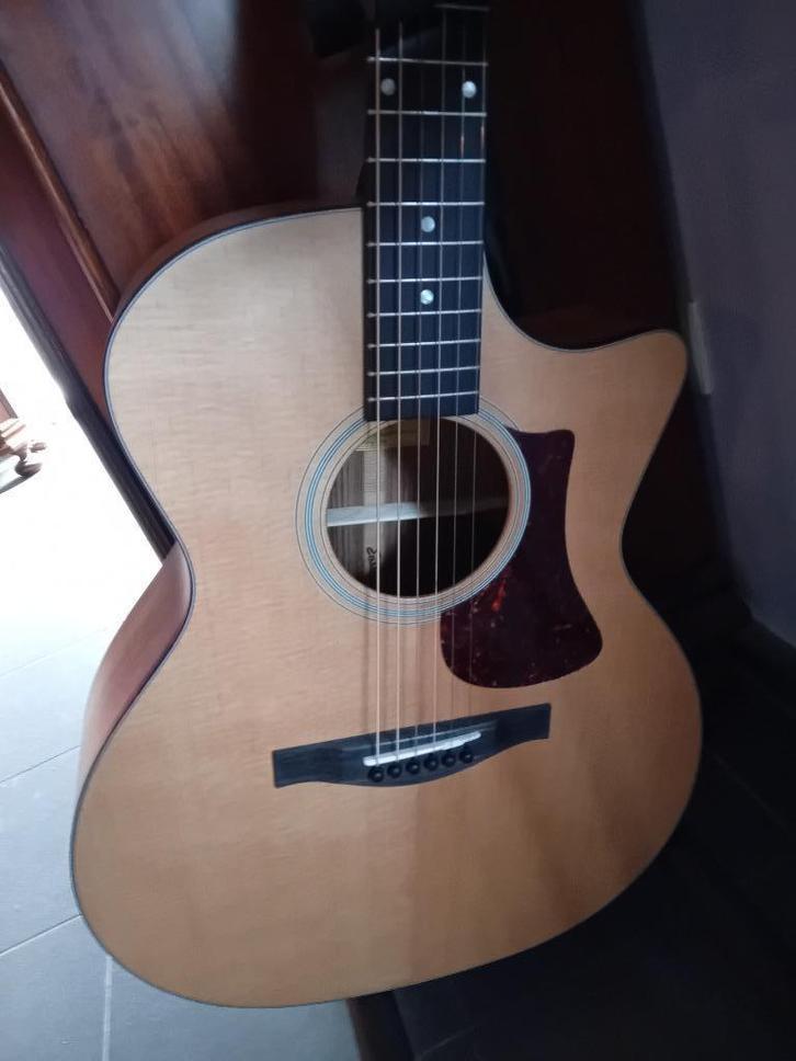 eastman gitaar, Muziek en Instrumenten, Snaarinstrumenten | Gitaren | Akoestisch, Nieuw, Western- of Steelstringgitaar, Met (piezo-)element