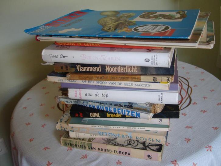 17 Nederlandstalige jeugdboeken - heel goede staat, Boeken, Kinderboeken | Jeugd | 10 tot 12 jaar, Zo goed als nieuw, Non-fictie