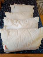 Set van 5 binnenkussens, Enlèvement ou Envoi