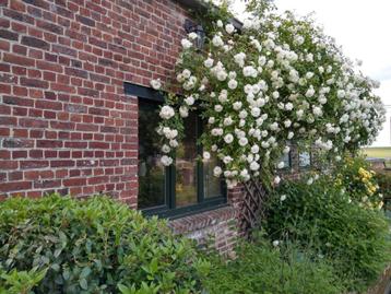 Vakantiewoningen in de buurt van Pairi daiza beschikbaar voor biedingen