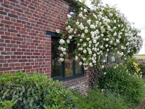 Vakantiewoningen in de buurt van Pairi daiza, Vakantie, Vakantiehuizen | België, Henegouwen of Namen, Landhuis of Villa, Landelijk