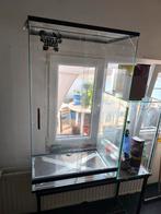 Terrariumpaludarium voor boomreptielen 60x40x100, Dieren en Toebehoren, Reptielen en Amfibieën | Toebehoren, Ophalen, Gebruikt