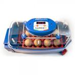 Borotto Lumia 8 + œufs à incuber gratuits (nouveau), Enlèvement ou Envoi, Neuf, Couveuse