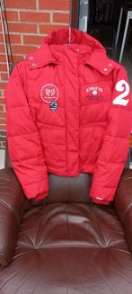 Rode winterjas merk : MAC GREGOR maat 38-40, Ophalen, Zo goed als nieuw, Maat 38/40 (M)