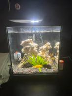 Aquarium, Dieren en Toebehoren, Ophalen, Zo goed als nieuw