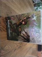 Cartes de tarot, Enlèvement ou Envoi, Neuf