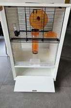 Hamsterkooi Qute van Omlet + voeding + accesoires, Comme neuf, 60 à 90 cm, Enlèvement, Cage