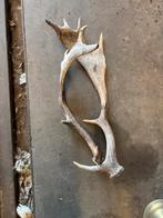 Bois de cerf, Collections, Enlèvement ou Envoi, Comme neuf