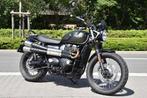 TRIUMPH STREET SCRAMBLER - 35 KW, Naked bike, 12 à 35 kW, 2 cylindres, 900 cm³