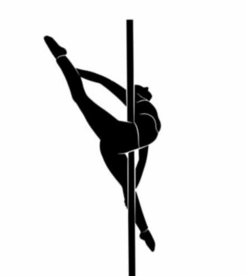 Pole dance, Sport en Fitness, Overige Sport en Fitness, Nieuw, Ophalen