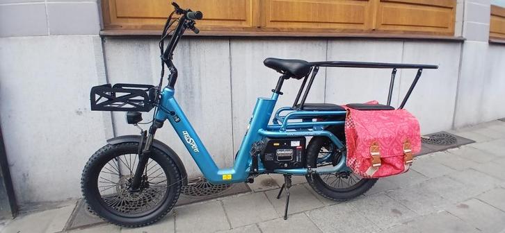 Longtail-fiets, Fietsen en Brommers, Elektrische fietsen, Zo goed als nieuw, Overige merken, 55 tot 59 cm, 50 km per accu of meer