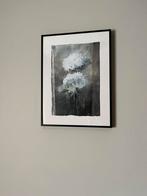 Poster pedro cano, Ophalen