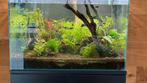 Aquarium met alle toebehoren, Dieren en Toebehoren, Ophalen, Zo goed als nieuw