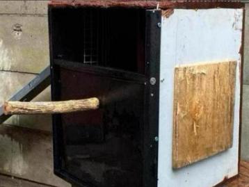 Broedblok voor ara 50x50x65 beschikbaar voor biedingen