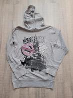 Trui / sweater grijs met kap Bizzy maat 146 / 152, Kinderen en Baby's, Kinderkleding | Maat 152, Meisje, Trui of Vest, Ophalen of Verzenden