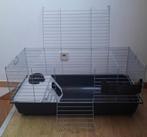 Grande cage a lapin, Ophalen, Kooi, Konijn
