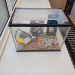 AQUARIUM L22 B35,8 H26, Ophalen, Zo goed als nieuw