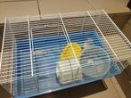 hamsterkooi caviakooi, Hamster, Enlèvement, Cage, Moins de 60 cm
