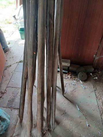 Set van 25 houten palen van 180 tot 250 cm beschikbaar voor biedingen
