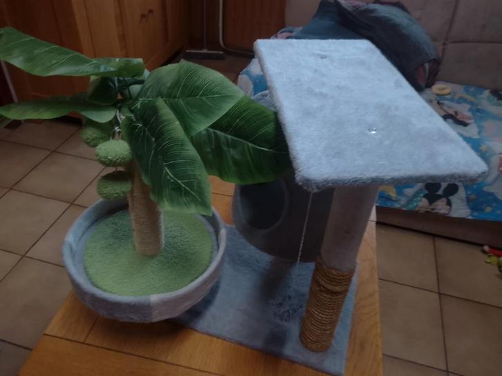 Petit arbre à chat  et un griffoire, Animaux & Accessoires, Accessoires pour chats, Comme neuf, Enlèvement