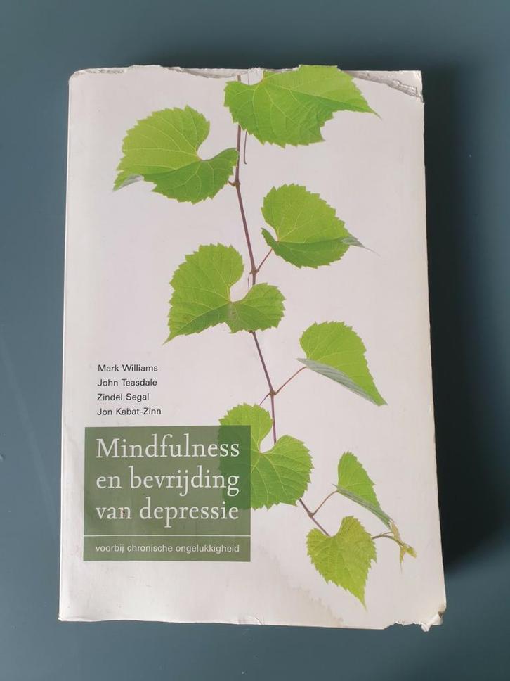 Mark Williams - Mindfulness en bevrijding van depressie, Boeken, Psychologie, Gelezen, Ophalen