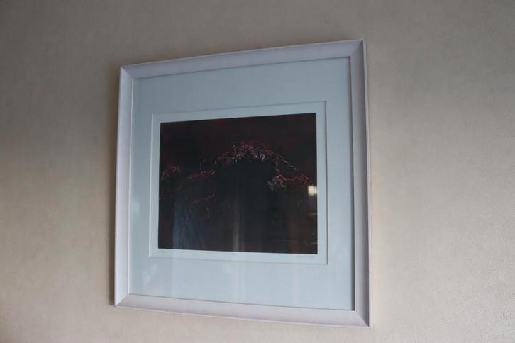 Genummerd kunstwerk 'Berg' van Dominique Demeulemeester, Antiquités & Art, Art | Peinture | Moderne, Enlèvement