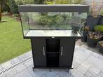 Aquarium Juwel 180l + toebehoren, Dieren en Toebehoren, Vissen | Aquaria en Toebehoren, Ophalen, Zo goed als nieuw, Leeg aquarium