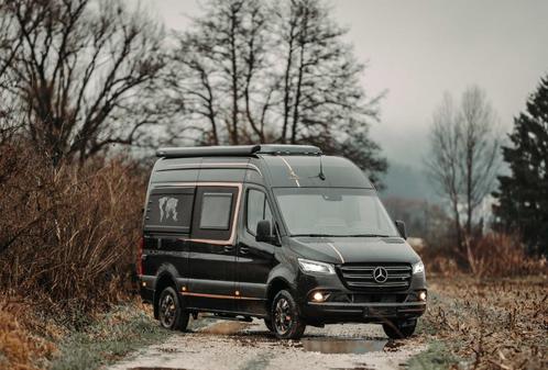 Camping-car Roberta Adonis Mercedes-Benz Sprinter 4X4 319 CD, Caravanes & Camping, Camping-cars, Entreprise, Modèle Bus, jusqu'à 2