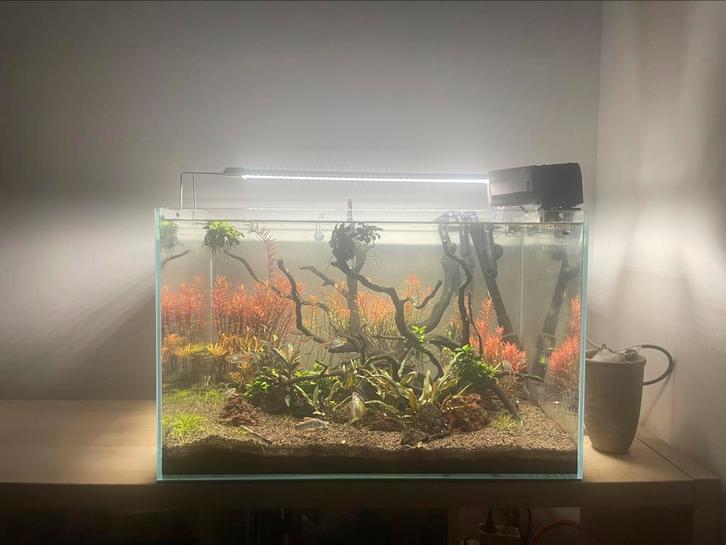 Aquarium complet, Dieren en Toebehoren, Vissen | Aquaria en Toebehoren, Zo goed als nieuw, Ophalen