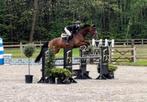 Zadelmak maken van uw paard/pony, Dieren en Toebehoren, Zadelmak