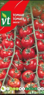 Plants de tomates Sweetie, Jardin & Terrasse, Plantes | Jardin, Enlèvement