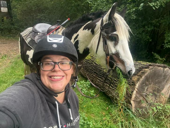 Halve stal gezocht!, Dieren en Toebehoren, Paarden