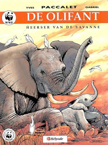 DE OLIFANT heerser van de savanne beschikbaar voor biedingen