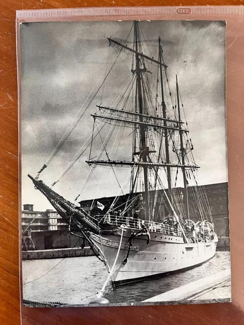 Nr. 65 - Persfoto 1956 - Mercator, Verzamelen, Foto's en Prenten, Foto, Ophalen of Verzenden