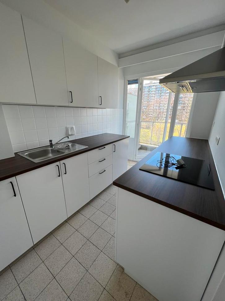 Renovation de A à Z 0465142701, Doe-het-zelf en Bouw, Overige Doe-Het-Zelf en Bouw, Nieuw, Verzenden